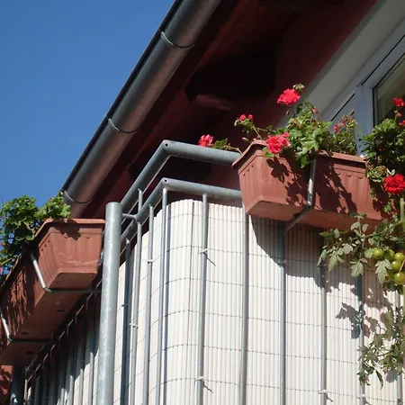Haus Albatros Apartamento *